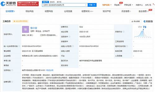 蘇寧布局數字科技新賽道 成立科技公司，涉足演出經紀與數字內容服務